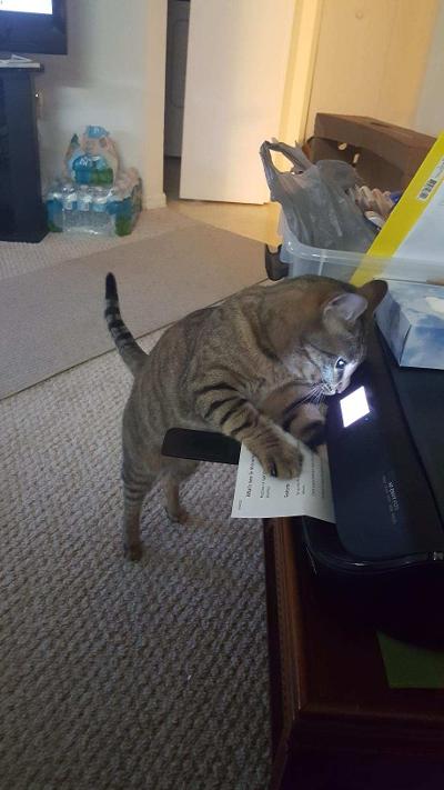 20240703-145806026-a402-084df576c6c7_1 Bolt office.jpg